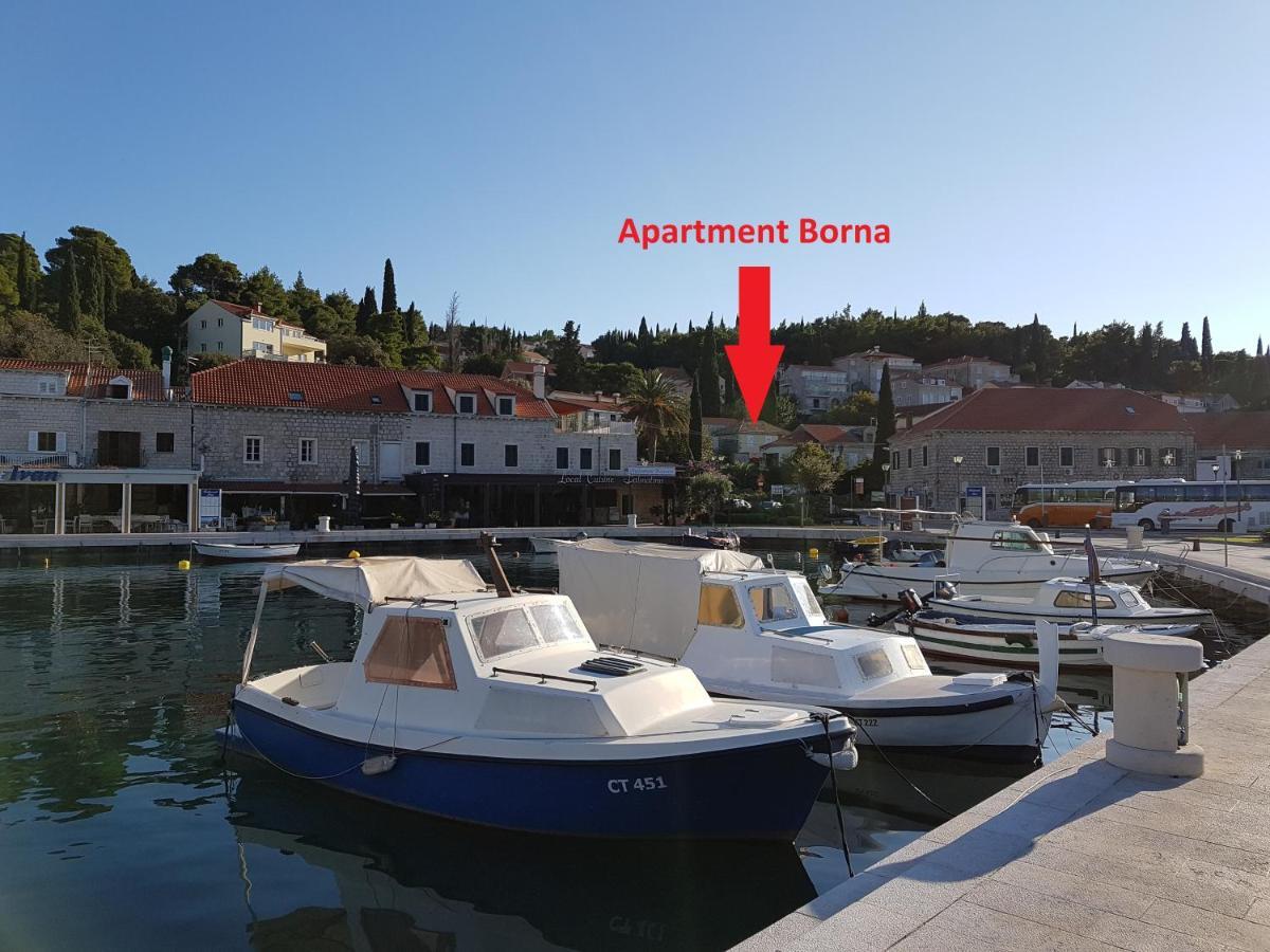 Apartment Borna Cavtat Kültér fotó